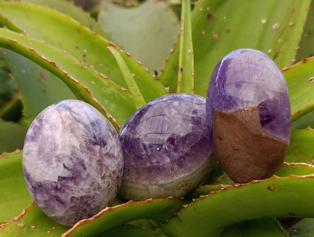 Polished Large Chevron Amethyst Palm Stones x 12 From Madagascar