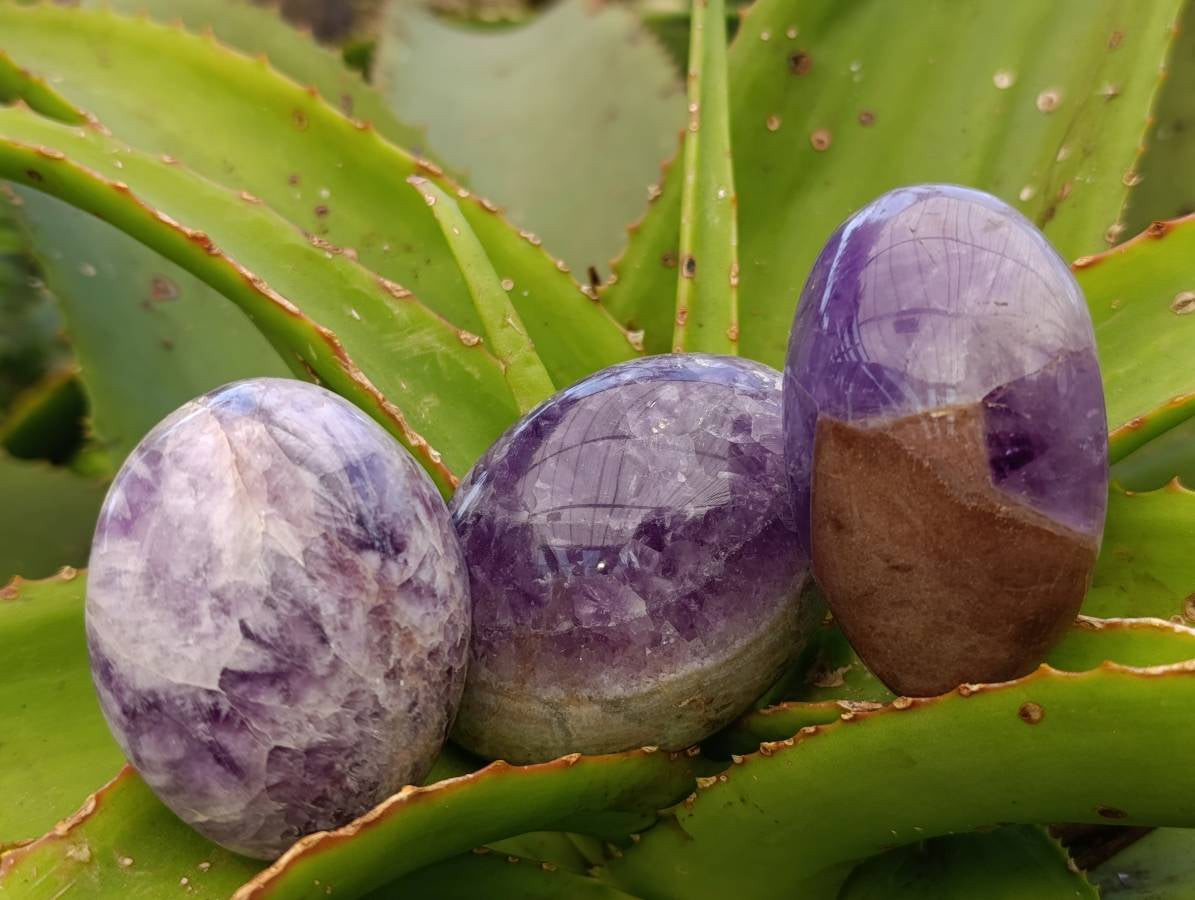 Polished Large Chevron Amethyst Palm Stones x 12 From Madagascar