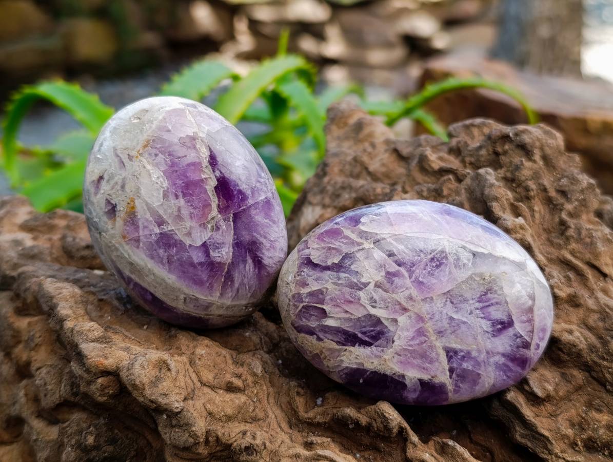 Polished Large Chevron Amethyst Palm Stones x 12 From Madagascar