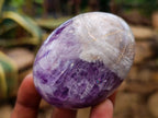 Polished Large Chevron Amethyst Palm Stones x 12 From Madagascar