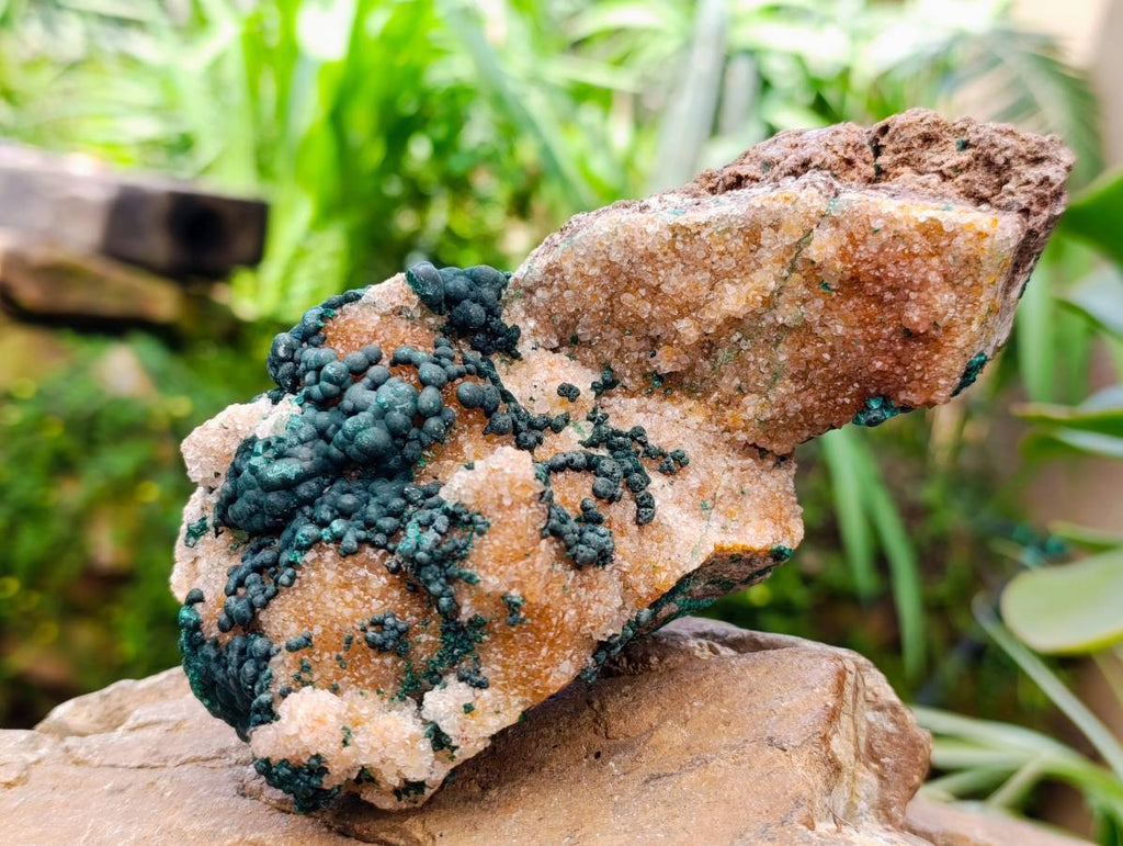Natural Silky Ball Malachite And Drusy Quartz On Dolomite Matrix Specimen x 1 From Mindingi Mine, Kambove, Congo
