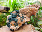 Natural Silky Ball Malachite And Drusy Quartz On Dolomite Matrix Specimen x 1 From Mindingi Mine, Kambove, Congo