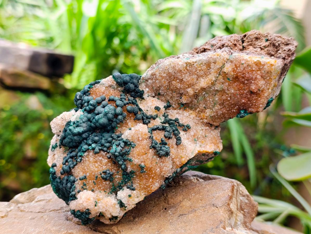 Natural Silky Ball Malachite And Drusy Quartz On Dolomite Matrix Specimen x 1 From Mindingi Mine, Kambove, Congo