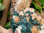 Natural Silky Ball Malachite And Drusy Quartz On Dolomite Matrix Specimen x 1 From Mindingi Mine, Kambove, Congo