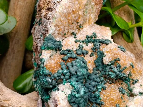 Natural Silky Ball Malachite And Drusy Quartz On Dolomite Matrix Specimen x 1 From Mindingi Mine, Kambove, Congo