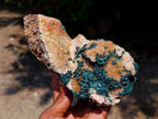 Natural Silky Ball Malachite And Drusy Quartz On Dolomite Matrix Specimen x 1 From Mindingi Mine, Kambove, Congo
