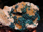 Natural Silky Ball Malachite And Drusy Quartz On Dolomite Matrix Specimen x 1 From Mindingi Mine, Kambove, Congo