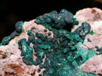 Natural Silky Ball Malachite And Drusy Quartz On Dolomite Matrix Specimen x 1 From Mindingi Mine, Kambove, Congo