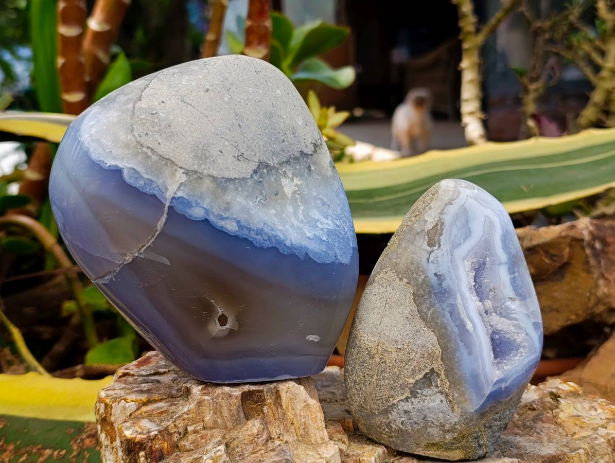 Polished Blue Lace Agate Standing Free Forms x 2 From Nsanje, Malawi