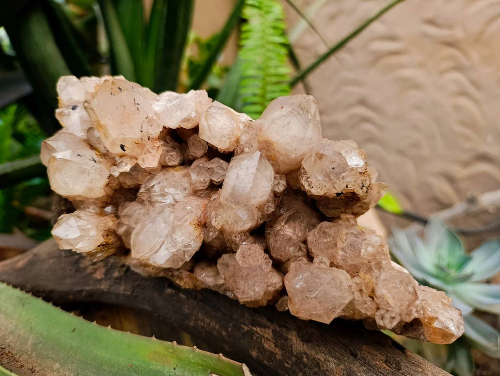 Natural Smokey Phantom Quartz Cluster x 1 From Luena, Congo