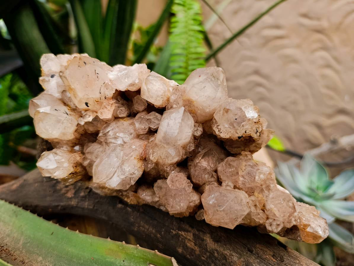 Natural Smokey Phantom Quartz Cluster x 1 From Luena, Congo
