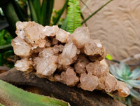 Natural Smokey Phantom Quartz Cluster x 1 From Luena, Congo