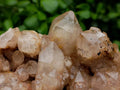 Natural Smokey Phantom Quartz Cluster x 1 From Luena, Congo