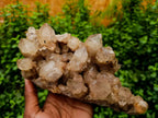 Natural Smokey Phantom Quartz Cluster x 1 From Luena, Congo