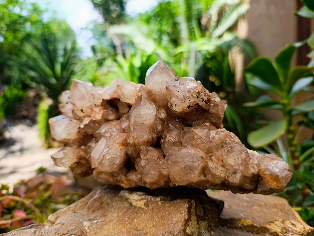 Natural Smokey Phantom Quartz Cluster x 1 From Luena, Congo