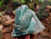 Natural Jade Cobbed Specimens x 12 From Swaziland