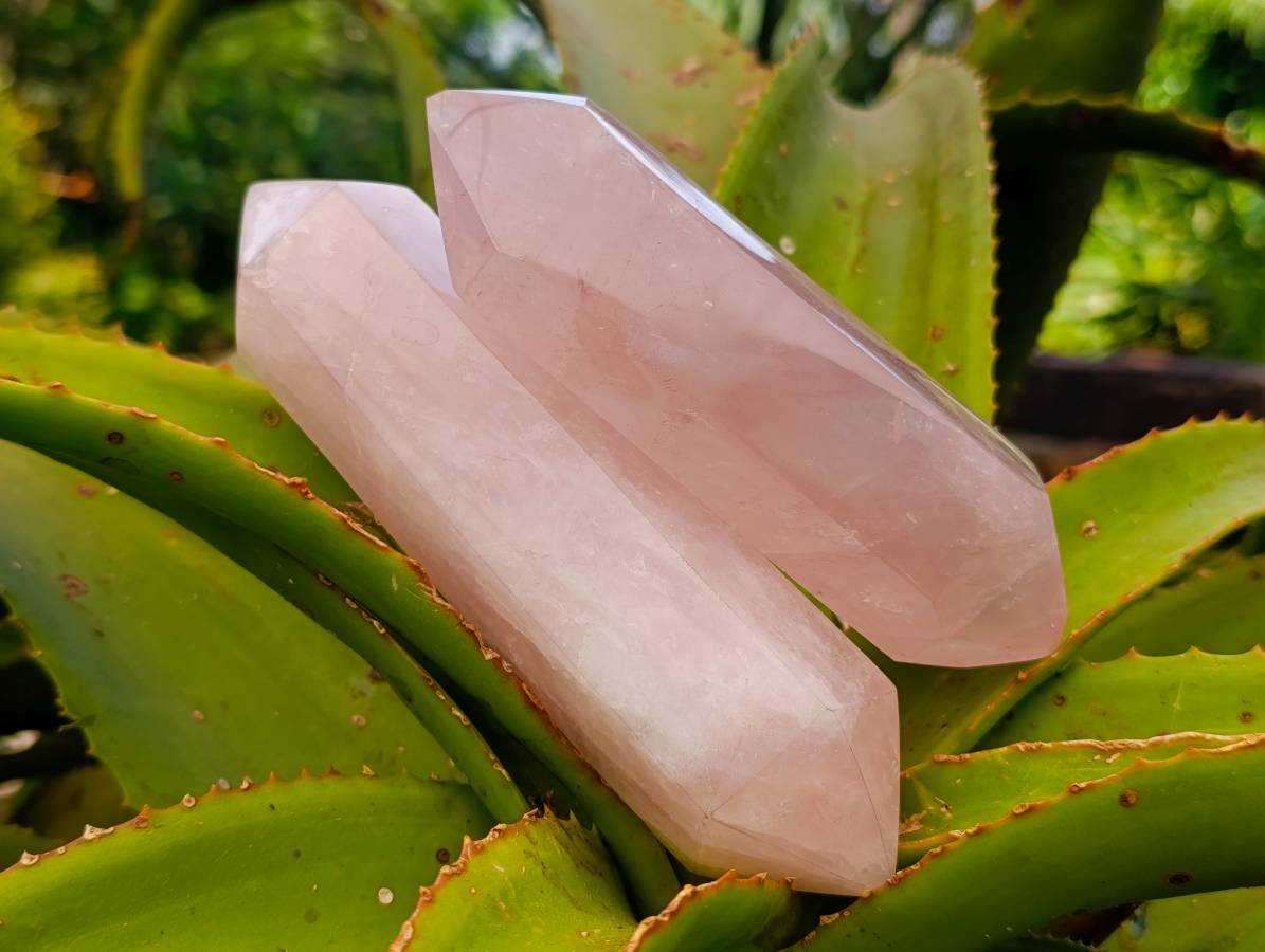 Polished Double Terminated Rose Quartz Crystals x 6 From Madagascar - Toprock Gemstones and Minerals 