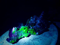 Natural XL Hyalite Opal Specimen x 1 From Erongo, Namibia