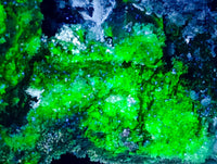 Natural XL Hyalite Opal Specimen x 1 From Erongo, Namibia