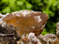 Natural XL Hyalite Opal Specimen x 1 From Erongo, Namibia