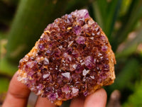 Natural Amethystos Amethyst Clusters x 12 From Kwaggafontein, South Africa