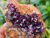 Natural Amethystos Amethyst Clusters x 12 From Kwaggafontein, South Africa