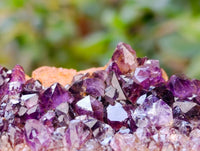 Natural Amethystos Amethyst Clusters x 12 From Kwaggafontein, South Africa