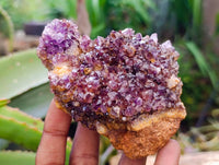 Natural Amethystos Amethyst Clusters x 12 From Kwaggafontein, South Africa