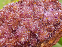 Natural Amethystos Amethyst Clusters x 12 From Kwaggafontein, South Africa