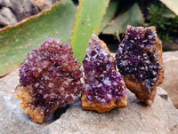 Natural Amethystos Amethyst Clusters x 12 From Kwaggafontein, South Africa