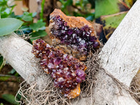 Natural Amethystos Amethyst Clusters x 12 From Kwaggafontein, South Africa