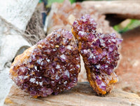 Natural Amethystos Amethyst Clusters x 12 From Kwaggafontein, South Africa