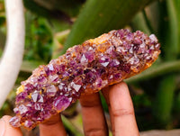 Natural Amethystos Amethyst Clusters x 12 From Kwaggafontein, South Africa