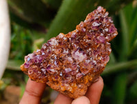 Natural Amethystos Amethyst Clusters x 12 From Kwaggafontein, South Africa