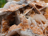 Natural Rare Bladed Barite Specimens x 2 From Congo