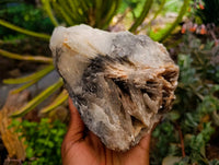 Natural Rare Bladed Barite Specimens x 2 From Congo