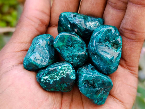 Polished Dioptase Free Forms x 20 From Likasi, Congo