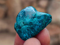 Polished Dioptase Free Forms x 20 From Likasi, Congo