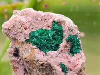 Natural Salrose Cobaltion Dolomite With Malachite Specimens x 6 From Kakanda, Congo