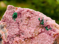 Natural Salrose Cobaltion Dolomite With Malachite Specimens x 6 From Kakanda, Congo
