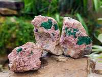 Natural Salrose Cobaltion Dolomite With Malachite Specimens x 6 From Kakanda, Congo