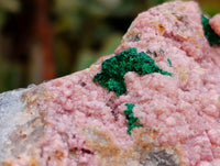 Natural Salrose Cobaltion Dolomite With Malachite Specimens x 6 From Kakanda, Congo