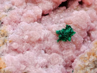 Natural Salrose Cobaltion Dolomite With Malachite Specimens x 6 From Kakanda, Congo