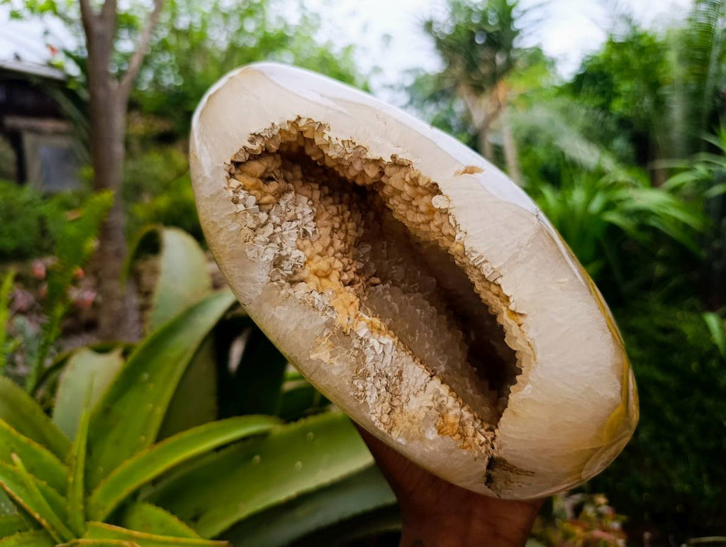 Polished Agate Geode x 1 From Madagascar