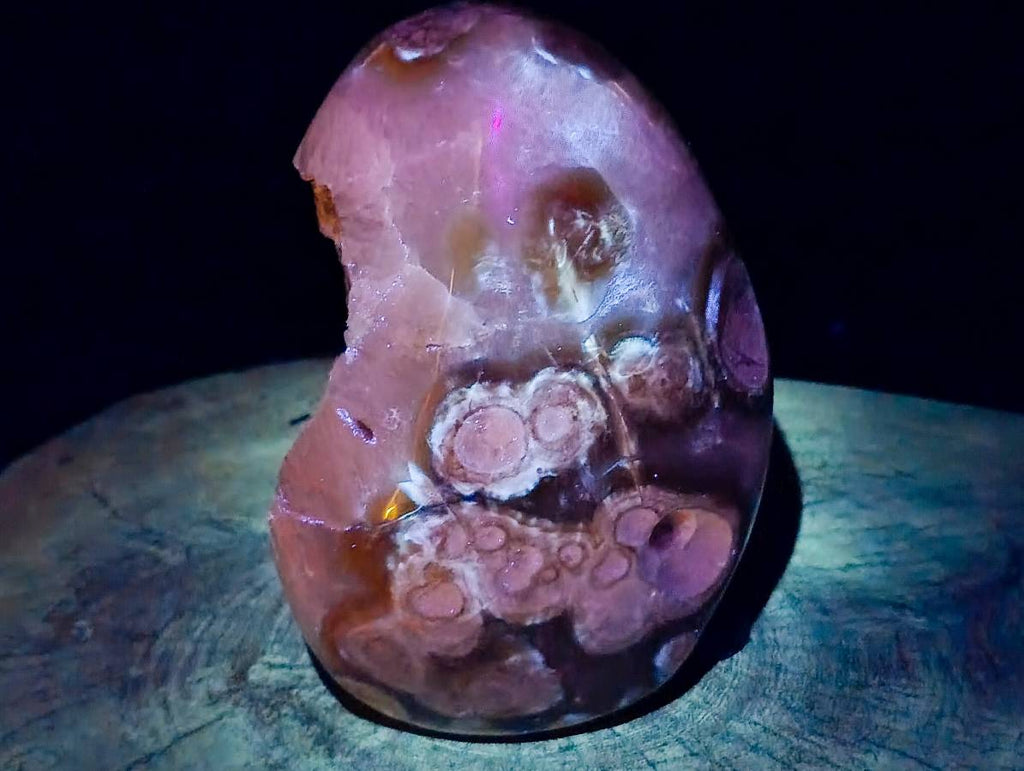 Polished Agate Geode x 1 From Madagascar