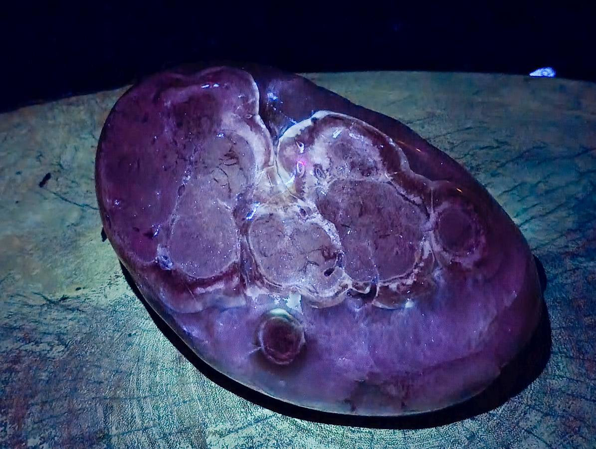 Polished Agate Geode x 1 From Madagascar