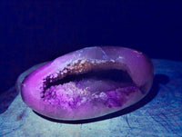 Polished Agate Geode x 1 From Madagascar