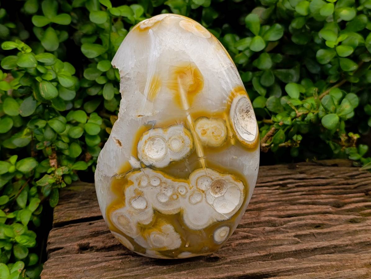 Polished Agate Geode x 1 From Madagascar