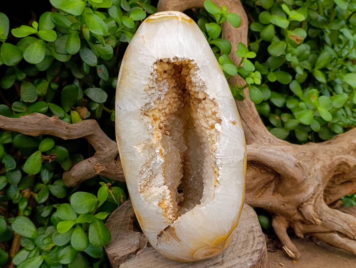 Polished Agate Geode x 1 From Madagascar