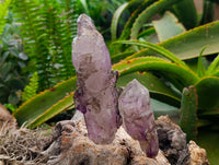 Natural Window Amethyst Crystals x 7 From Chiredzi, Zimbabwe
